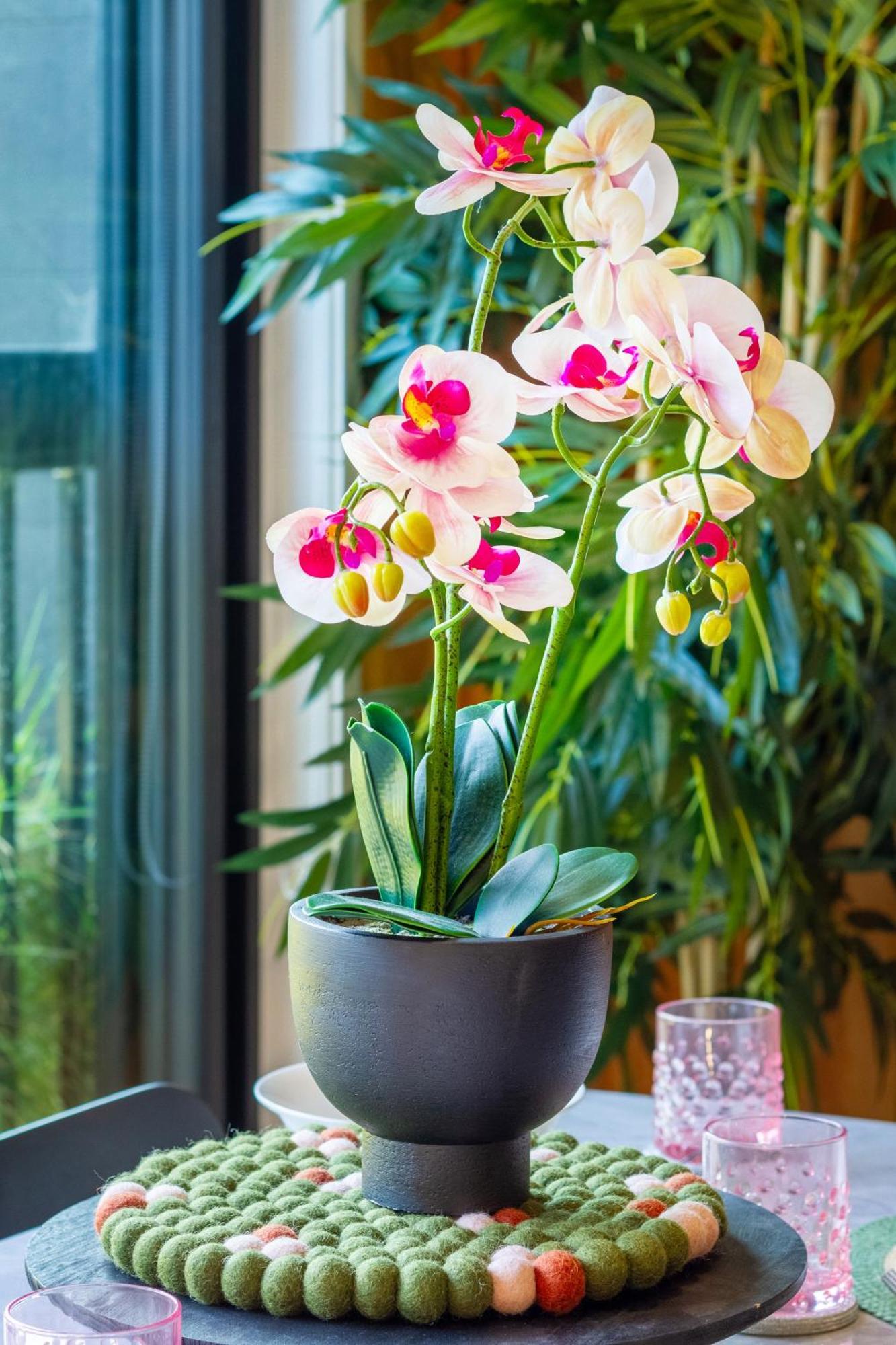Cozy 1-Bed Apartment With Park Views, Sleeps 4 Christchurch Eksteriør billede